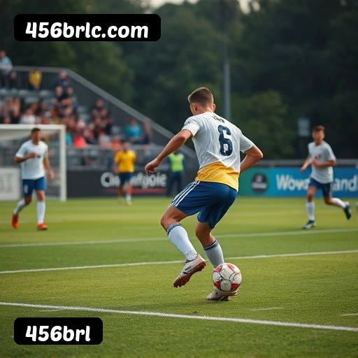 Níveis do programa VIP da 456brl